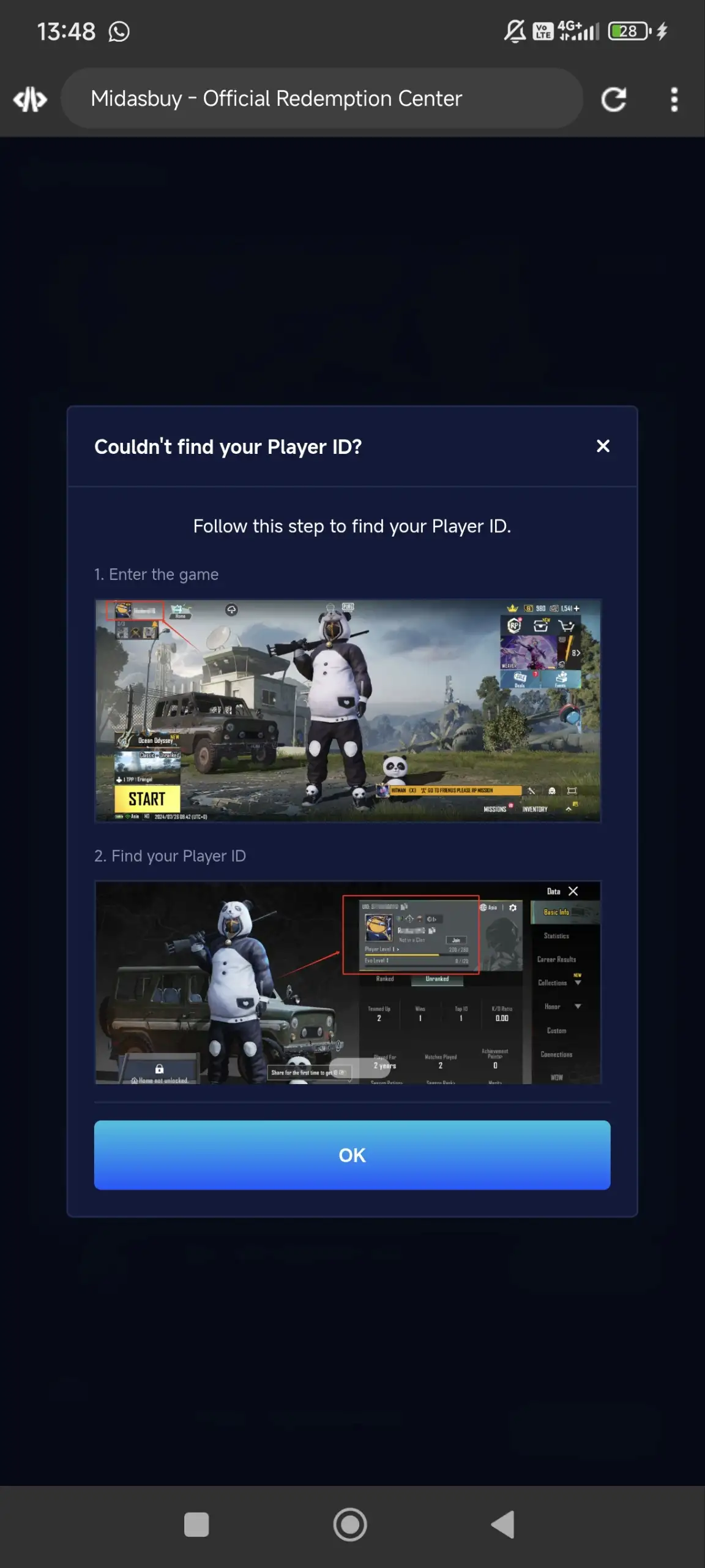 Preview Screenshot