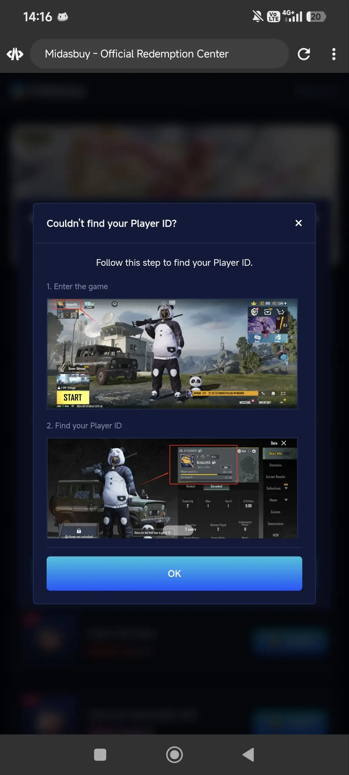 Preview Screenshot