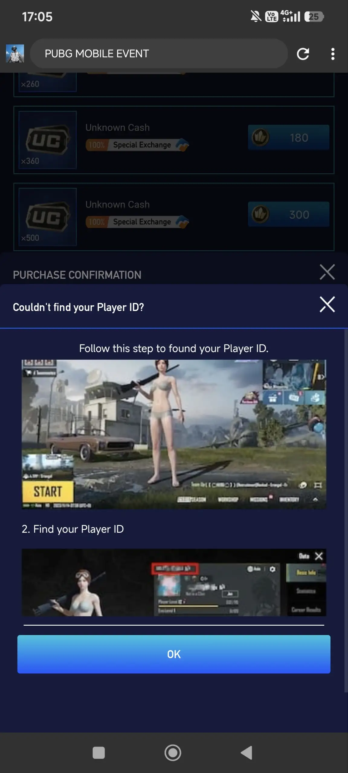 Preview Screenshot